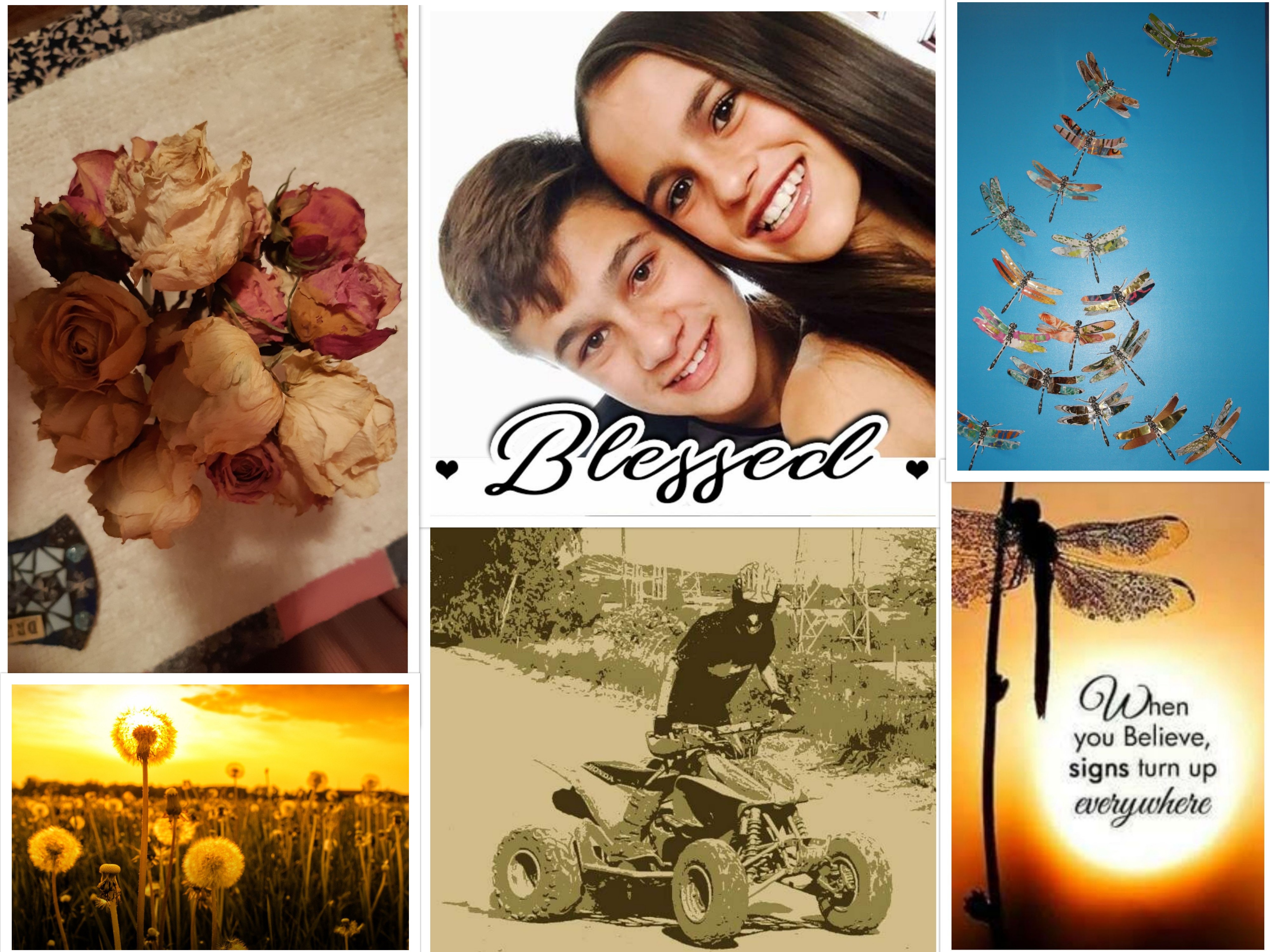 collage2